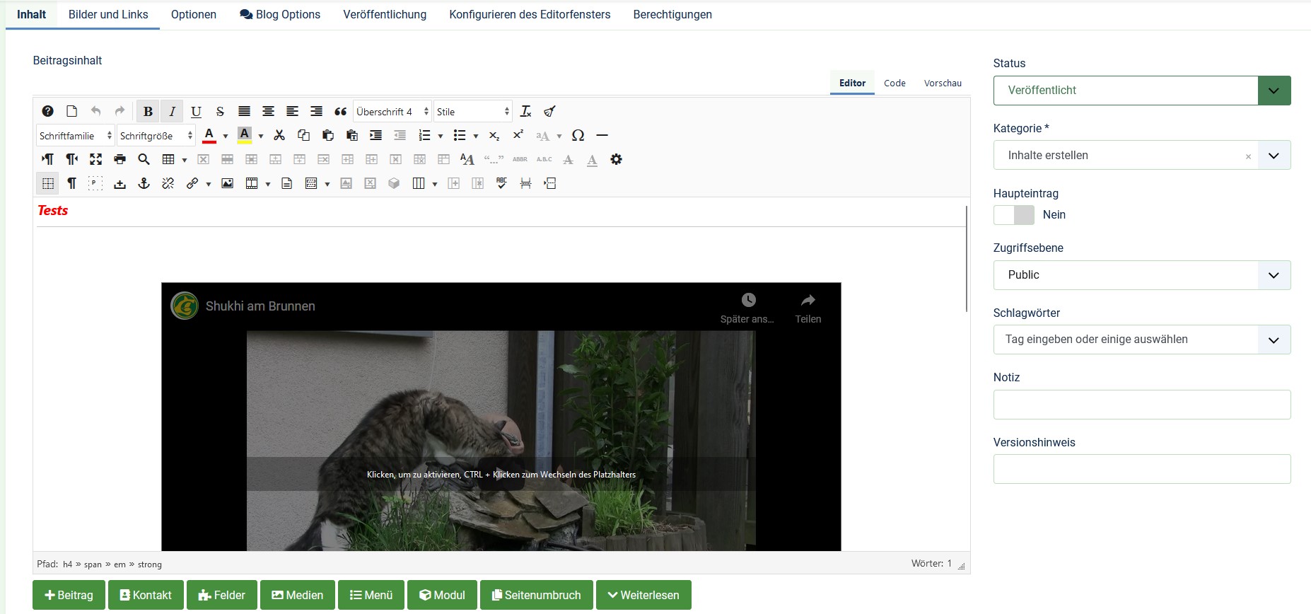 edit jce iframe 15